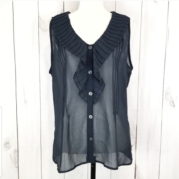 banana republic sheer blouse